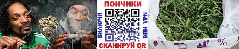 МАРИХУАНА сатива  Купить  Луга 
